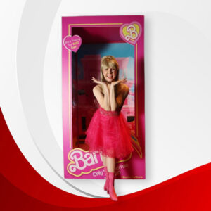 Custom Barbie Doll Boxes