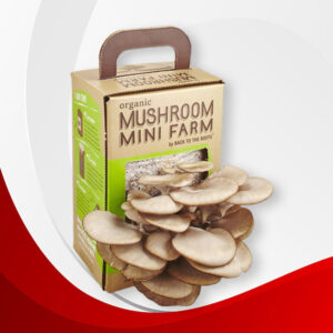 Custom Mushroom Packaging